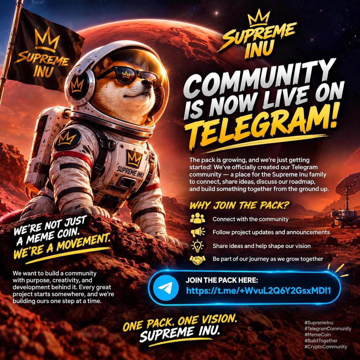 Telegram Is Live: The pack's Telegram community opens its doors. One pack. One vision.